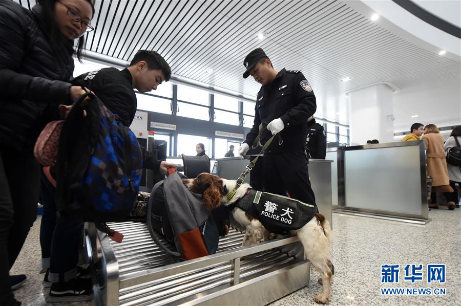 （關注春運）（2）重慶：警犬助陣保平安